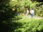 thumbs/pict0143.jpg
