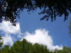 thumbs/pict0144.jpg