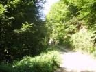 thumbs/pict0145.jpg