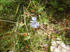 thumbs/pict0148.jpg