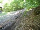 thumbs/pict0153.jpg