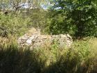thumbs/pict0195.jpg