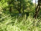 thumbs/pict0208.jpg