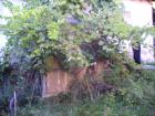thumbs/pict0221.jpg