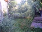 thumbs/pict0226.jpg