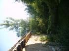 thumbs/pict0229.jpg