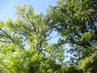 thumbs/pict0230.jpg
