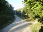 thumbs/pict0235.jpg