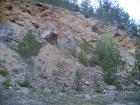 thumbs/pict0238.jpg