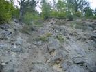 thumbs/pict0241.jpg