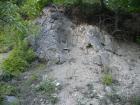 thumbs/pict0243.jpg
