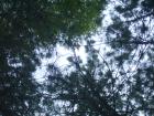 thumbs/pict0249.jpg