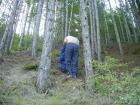 thumbs/pict0253.jpg