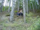 thumbs/pict0254.jpg
