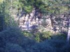 thumbs/pict0261.jpg