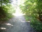 thumbs/pict0135.jpg