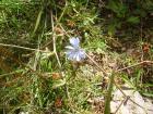 thumbs/pict0148.jpg