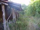 thumbs/pict0224.jpg