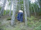 thumbs/pict0253.jpg