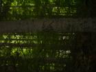 thumbs/pict0152.jpg