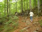 thumbs/pict0155.jpg