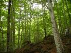 thumbs/pict0158.jpg