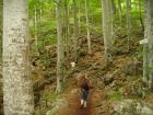 thumbs/pict0160.jpg