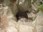 thumbs/pict0177.jpg