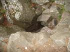 thumbs/pict0181.jpg