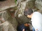 thumbs/pict0185.jpg