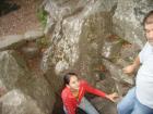 thumbs/pict0187.jpg