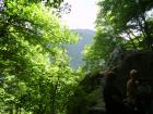 thumbs/pict0193.jpg