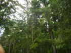 thumbs/pict0202.jpg