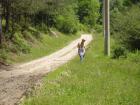 thumbs/pict0230.jpg