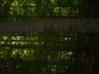 thumbs/pict0152.jpg