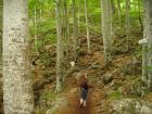 thumbs/pict0160.jpg