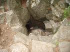 thumbs/pict0177.jpg