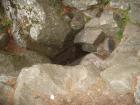 thumbs/pict0181.jpg