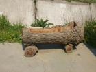 thumbs/pict1105.jpg