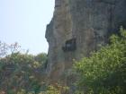 thumbs/pict1110.jpg