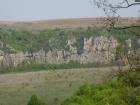thumbs/pict1113.jpg