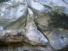thumbs/pict1115.jpg