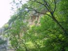 thumbs/pict1117.jpg