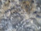 thumbs/pict1120.jpg