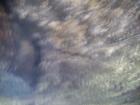 thumbs/pict1122.jpg