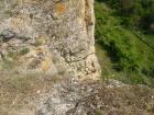 thumbs/pict1127.jpg