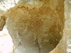 thumbs/pict1160.jpg