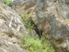 thumbs/pict1162.jpg