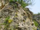 thumbs/pict1168.jpg