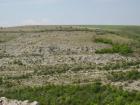 thumbs/pict1174.jpg